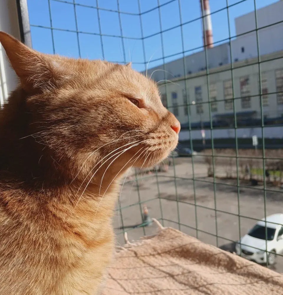 Забронировать на Хорошёво